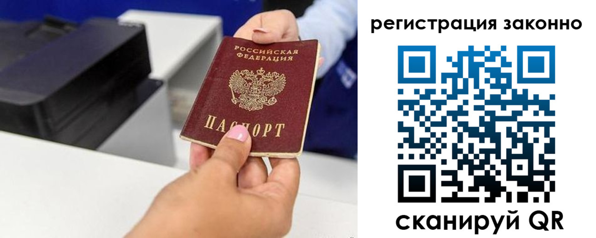 прописка для школы в Новгородской области